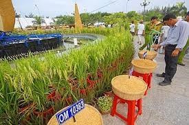 THỜI SỰ 6H SÁNG 7/1/2022: Festival lúa gạo Việt Nam lần thứ 5 được kỳ vọng đưa lúa gạo mang thương hiệu Việt Nam phát triển.